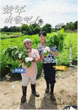 奔跑吧第十四季 游戏花絮